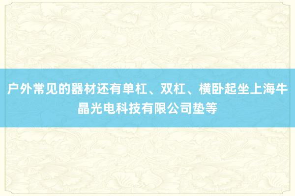 户外常见的器材还有单杠、双杠、横卧起坐上海牛晶光电科技有限公司垫等
