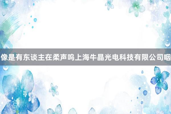 像是有东谈主在柔声呜上海牛晶光电科技有限公司咽