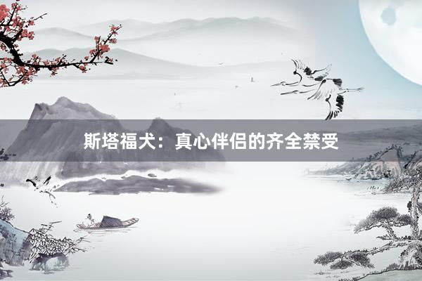 斯塔福犬：真心伴侣的齐全禁受